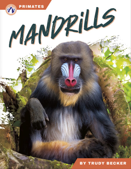 Mandrills