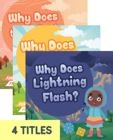 Forecast Friends (Set of 4)