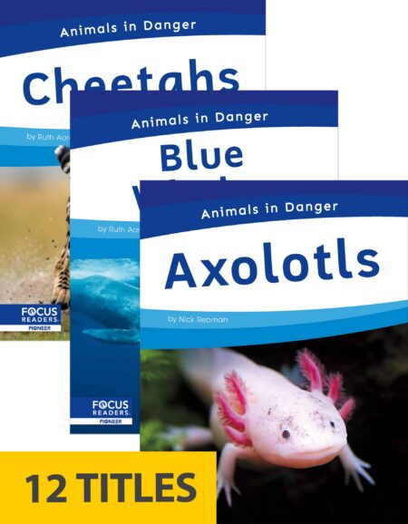 Animals in Danger (Set of 12)
