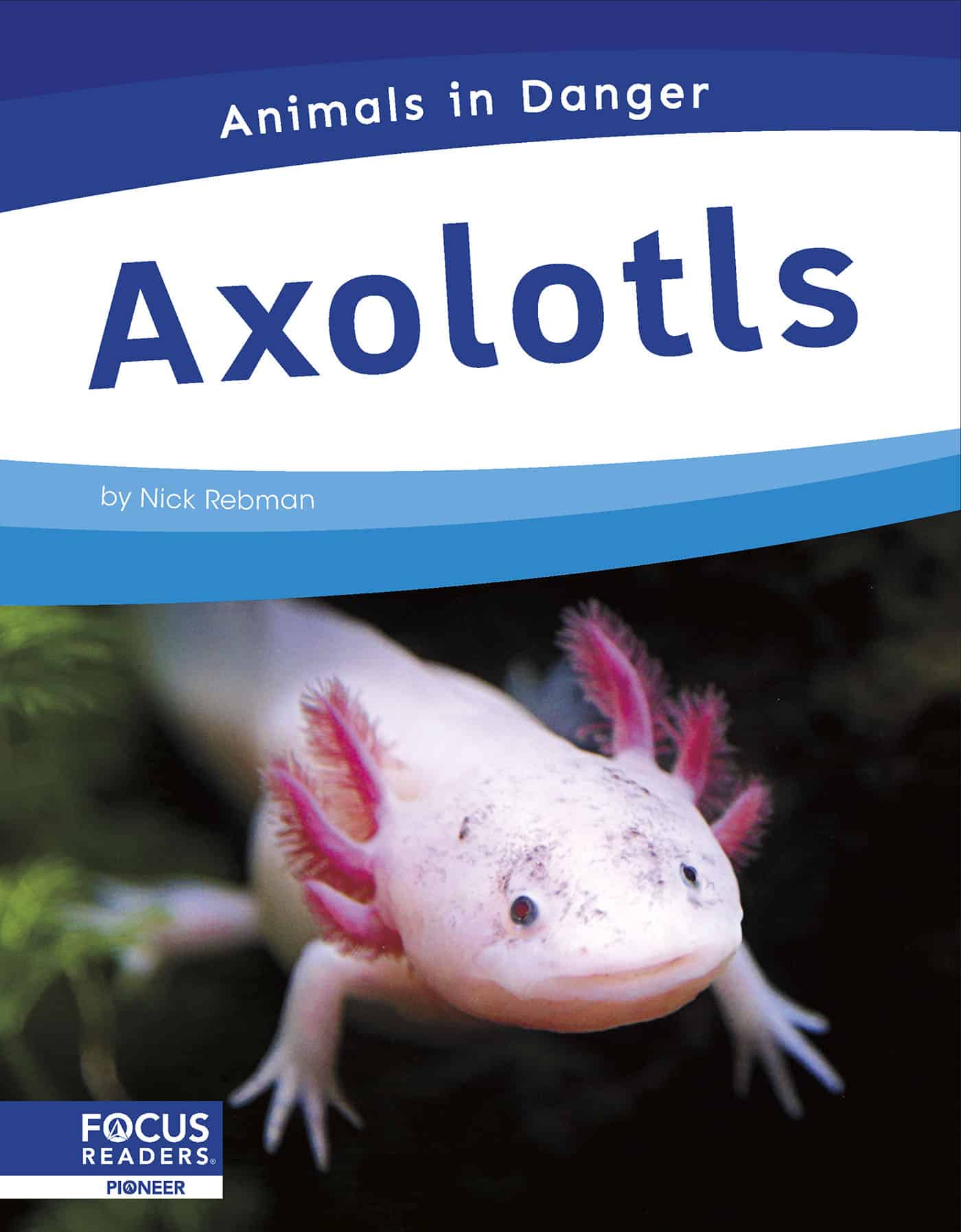 Axolotls
