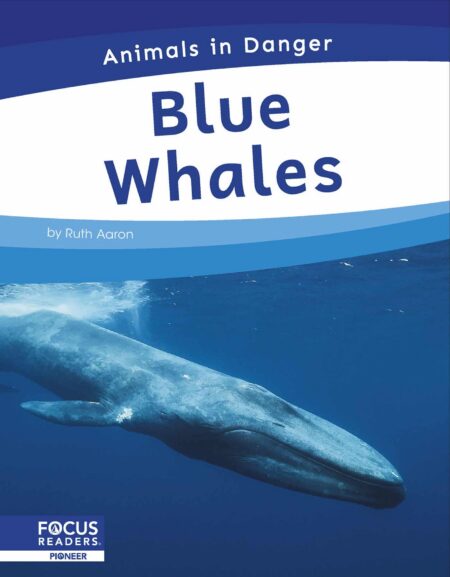 Blue Whales