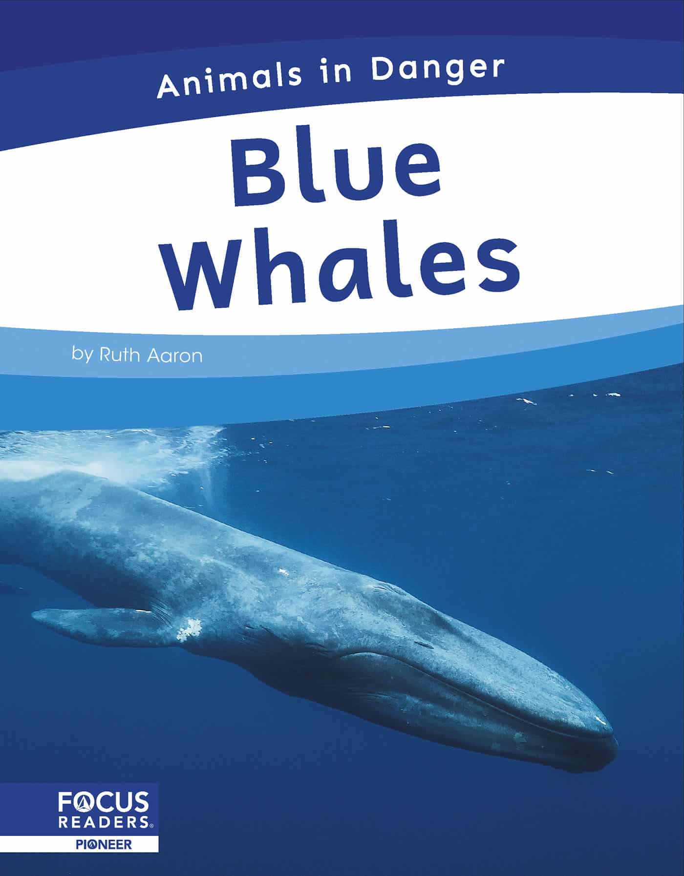 Blue Whales