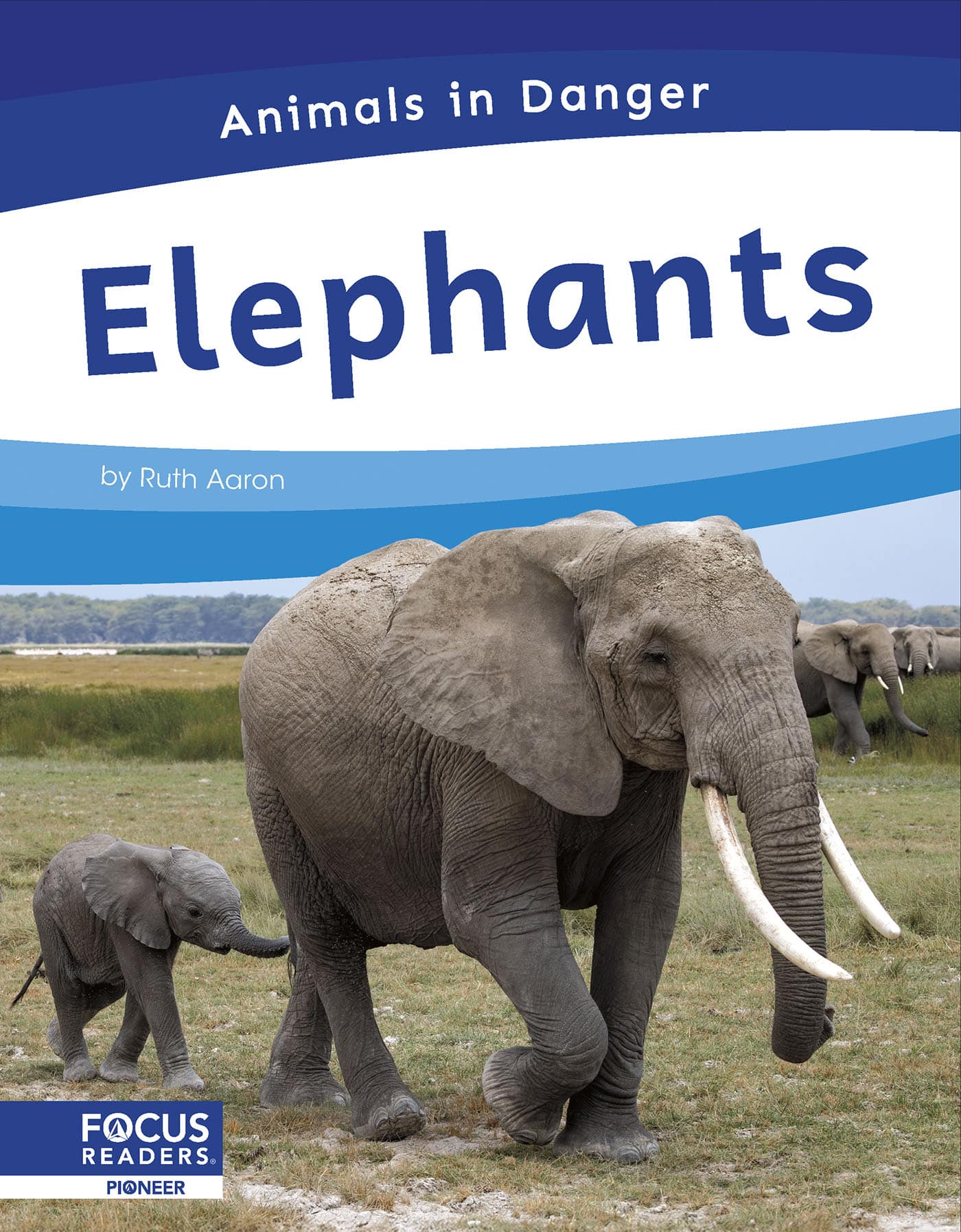 Elephants