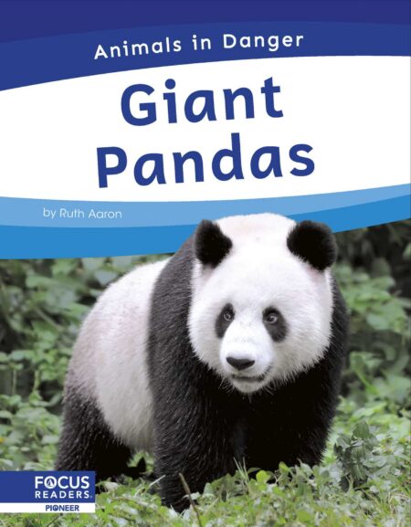 Giant Pandas