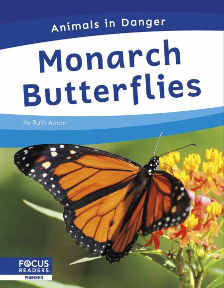 Monarch Butterflies