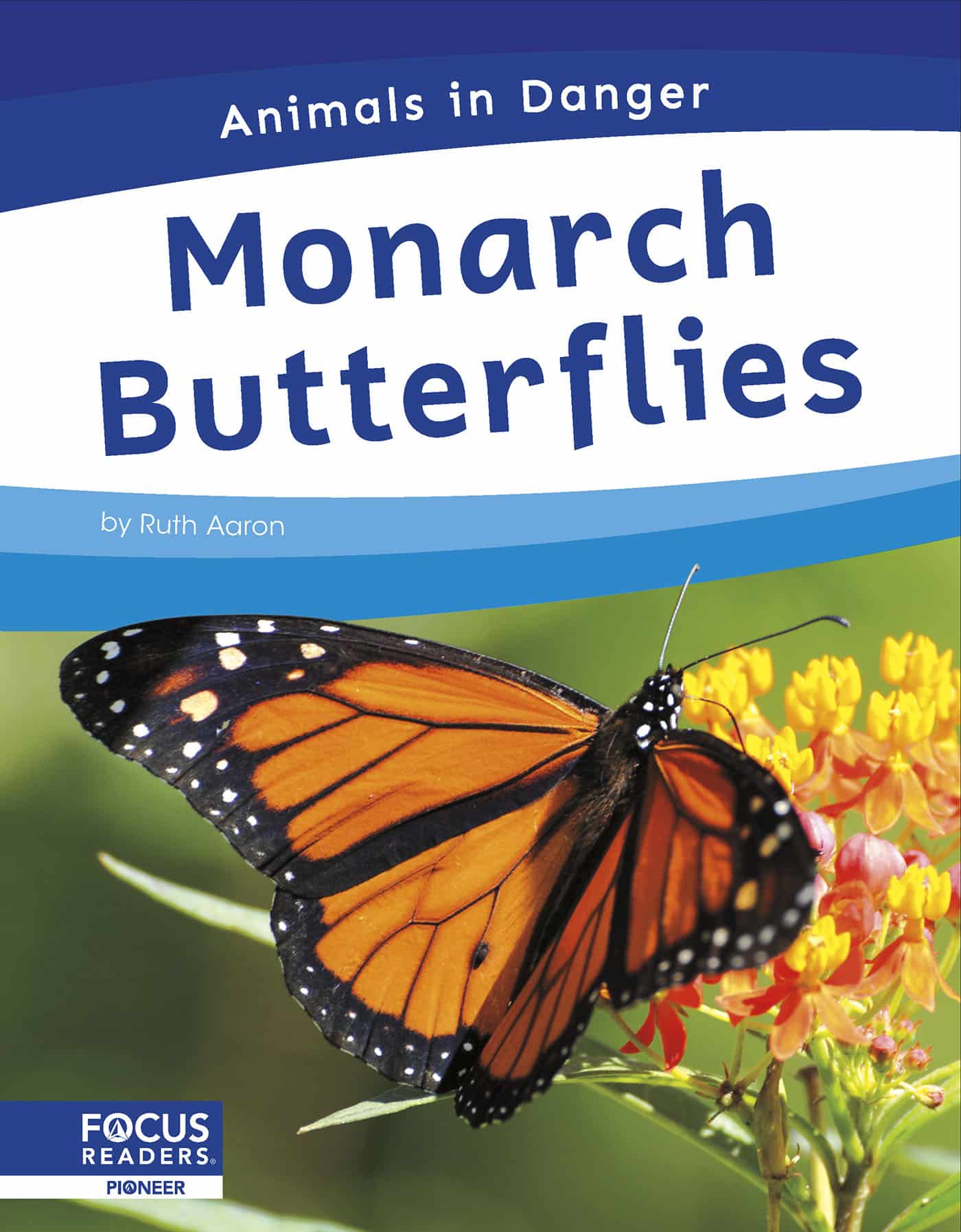 Monarch Butterflies