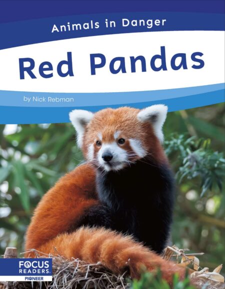 Red Pandas