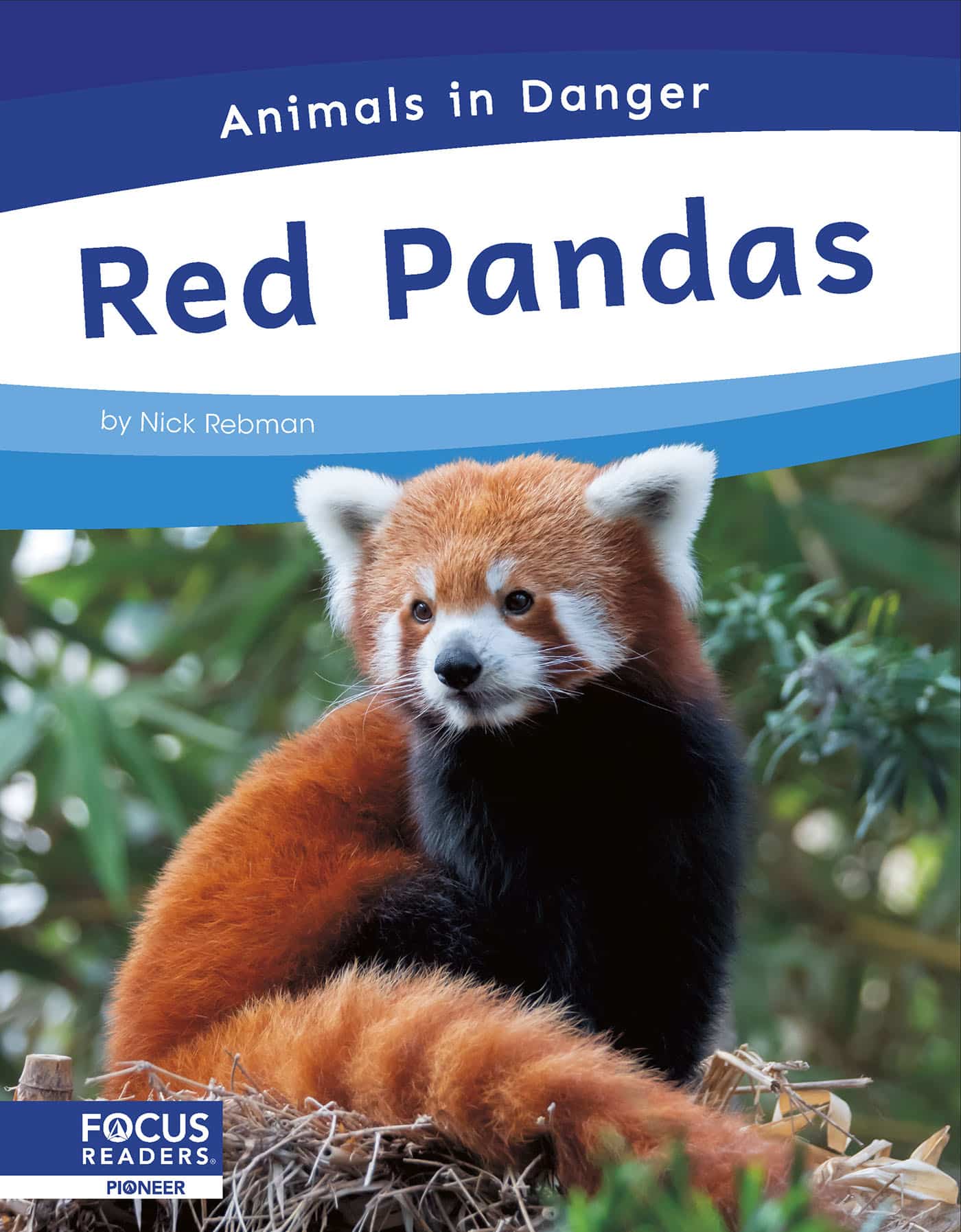 Red Pandas