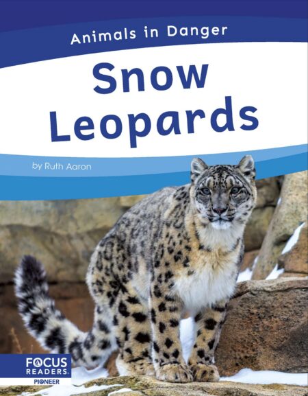 Snow Leopards