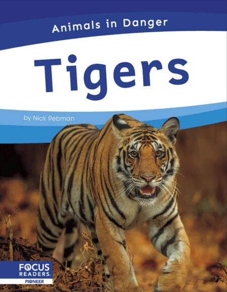 Tigers