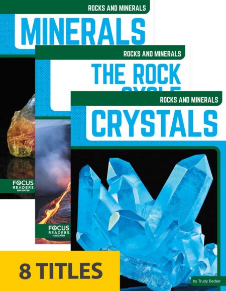 Rocks and Minerals (Set of 8)