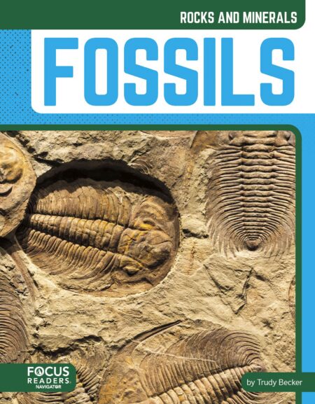 Fossils