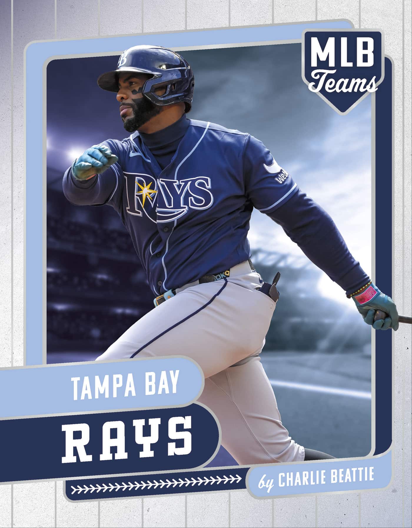 Tampa Bay Rays