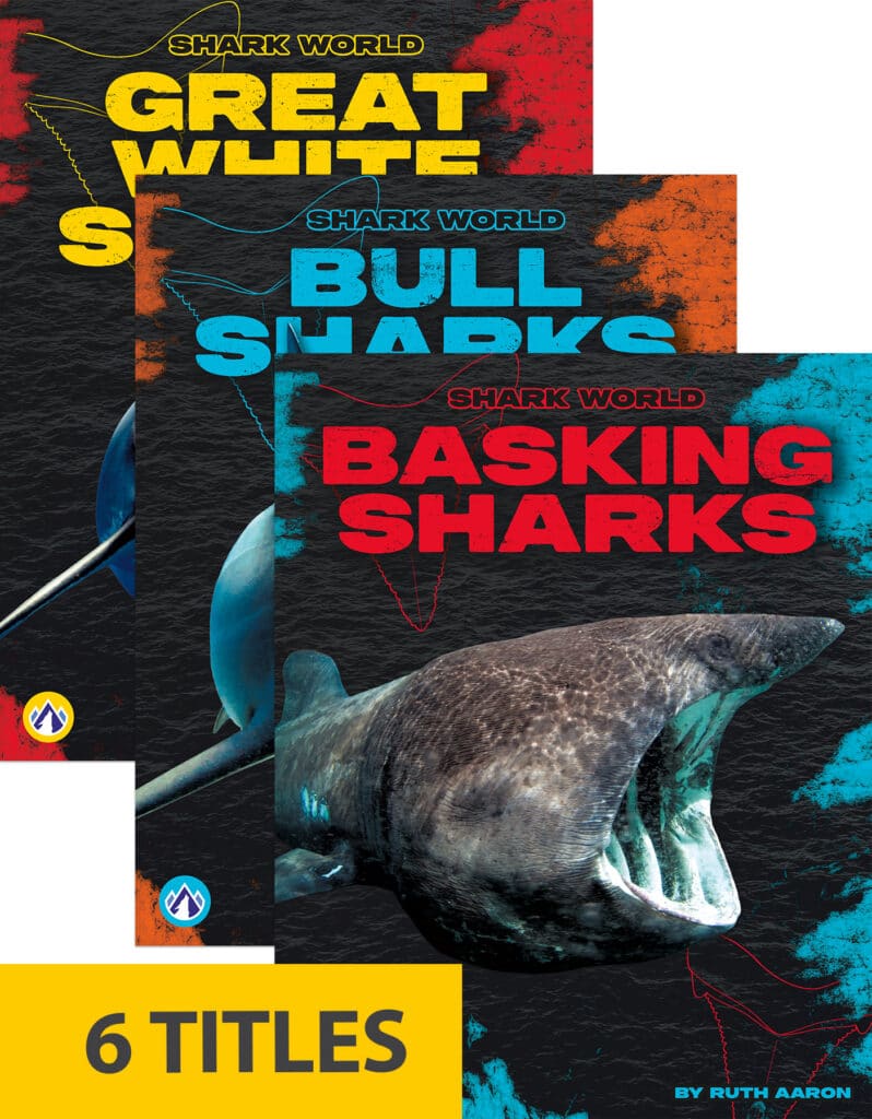 Shark World