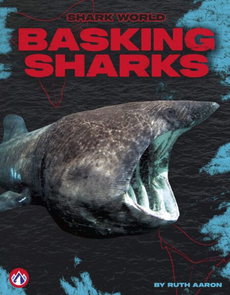 Basking Sharks
