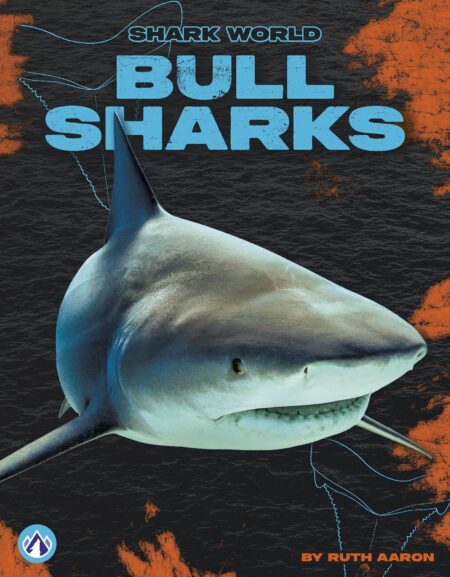 Bull Sharks