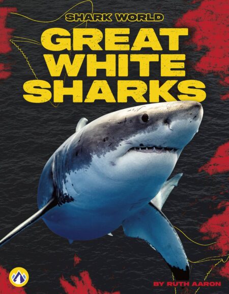 Great White Sharks