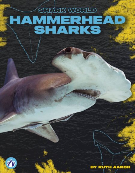 Hammerhead Sharks