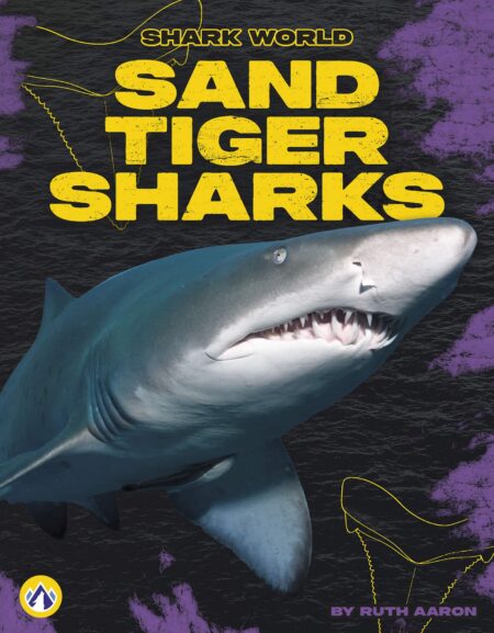 Sand Tiger Sharks